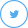 Twitter Icon